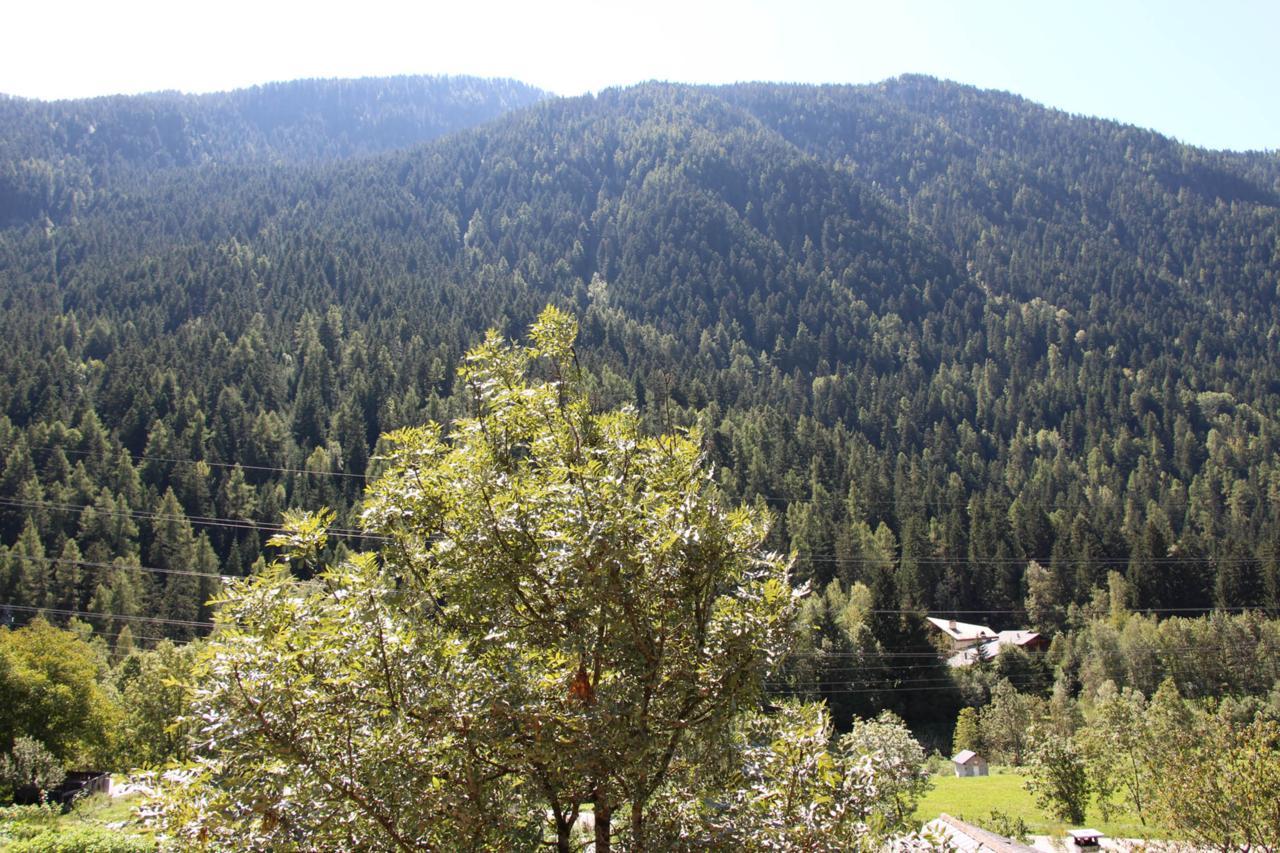 Chalet Tioli Montvalezan Εξωτερικό φωτογραφία