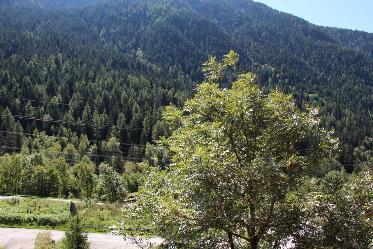Chalet Tioli Montvalezan Εξωτερικό φωτογραφία
